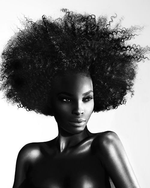 Winners - Black Beauty / Sensationne Hair Awards 2014